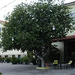 Costa-rini Leonídion